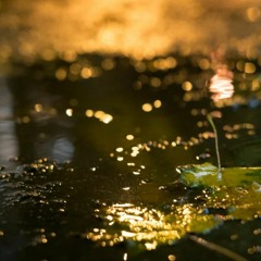 + november 201- background size cover FREE DOWNLOAD