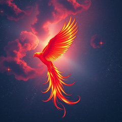Last Call to Destiny