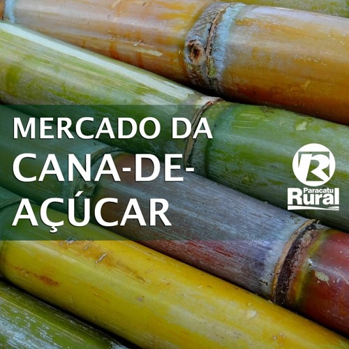 Produção De CANA - DE - AÇÚCAR E Derivados É Impactada Por Geadas E Estiagem No Brasil