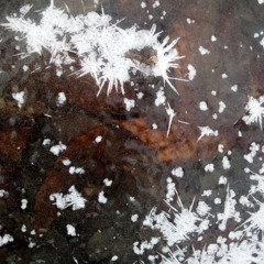 [•°form_ice°•]