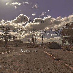 Concerto for Strings No. 2 op. 47 - 1. Andante