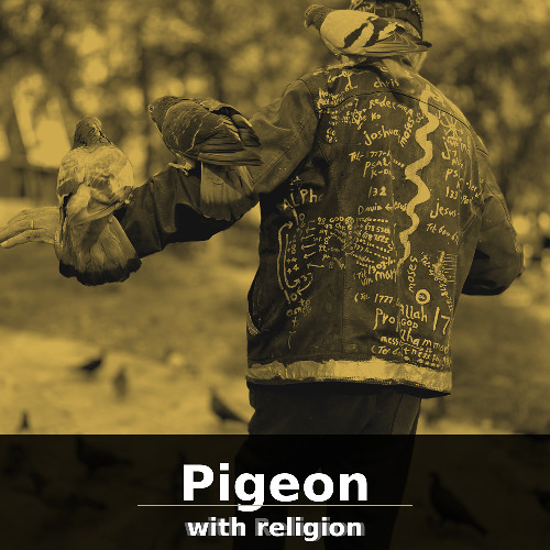 Pigeon with Religion