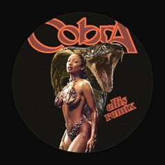 Megan Thee Stallion - Cobra (ellis UKG remix) [Free DL]