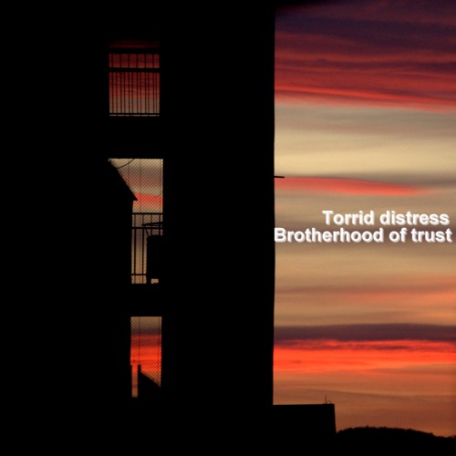 Brotherhood of trust (24 remix)