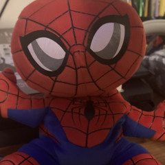 I Can’t Loose Aunt May