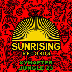 Jungle 23🌴🌌🪘