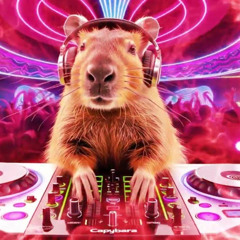 Markum-Capybara Undergound mashup