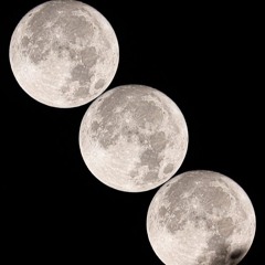 Third Full Moon Dance @ Veritas in Malibu
