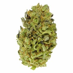 Все В Голове