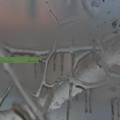 Mailer - Dormant Season | Releases 12.02.25