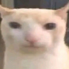 DARK SUYU