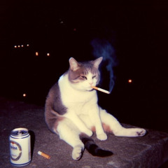 Chiefing and Thinking
