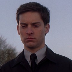 Brilliant but lazy | Peter Parker
