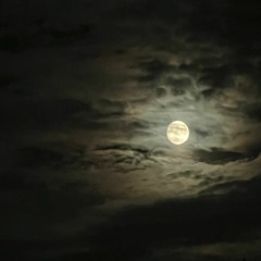 moon song - phoebe bridgers (cover)