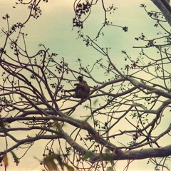 groovin' through the night