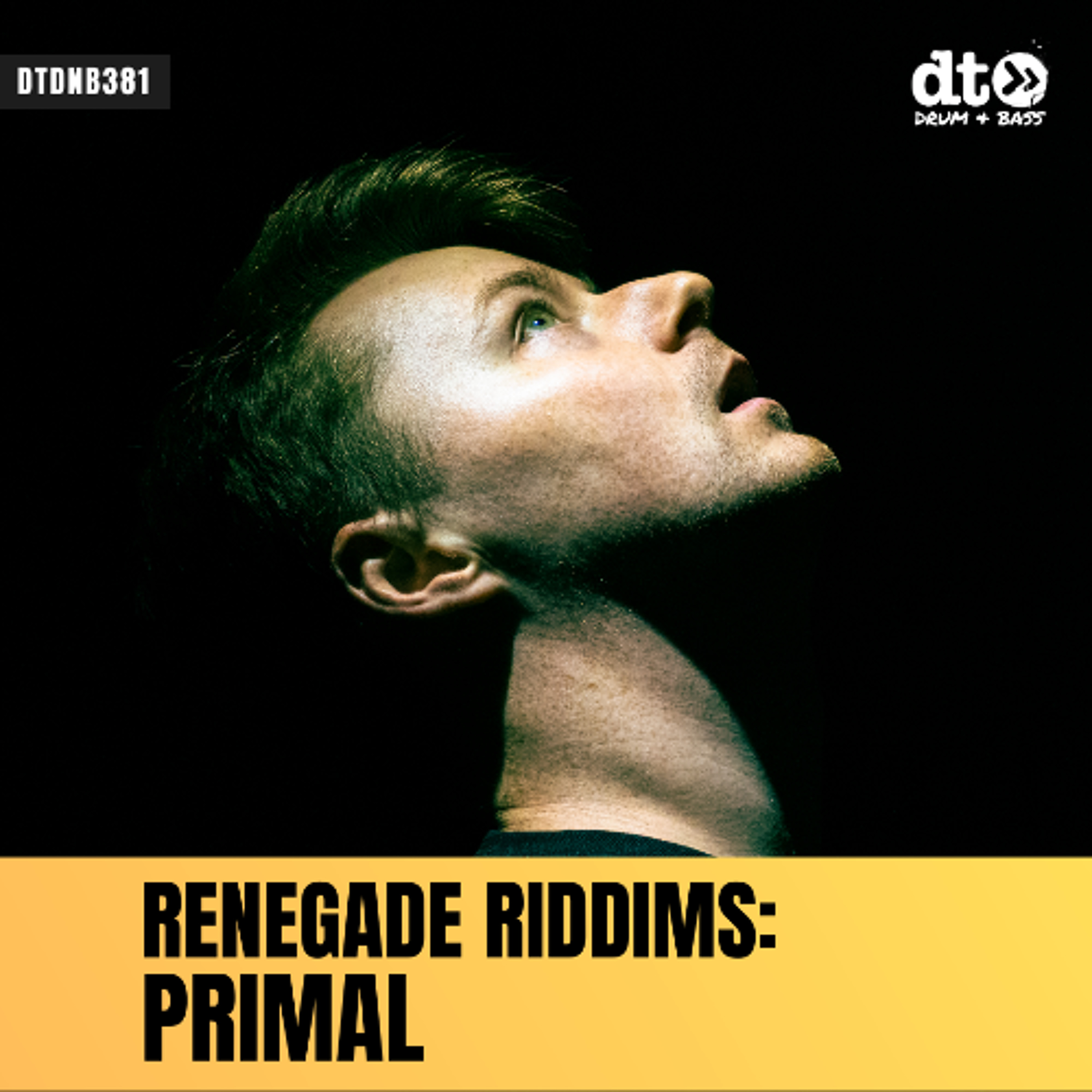 RENEGADE RIDDIMS: Primal