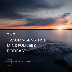 Episode 22 | Resilience, Mindfulness, and Healing Trauma