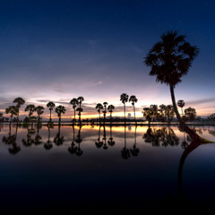 HOUSE LAK 2025 - HL MIX