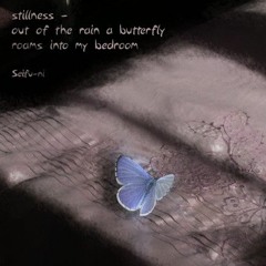 Marco Lucchi - A butterfly into my bedroom [Naviar Haiku # 501]