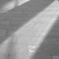 sunlight meets the dark