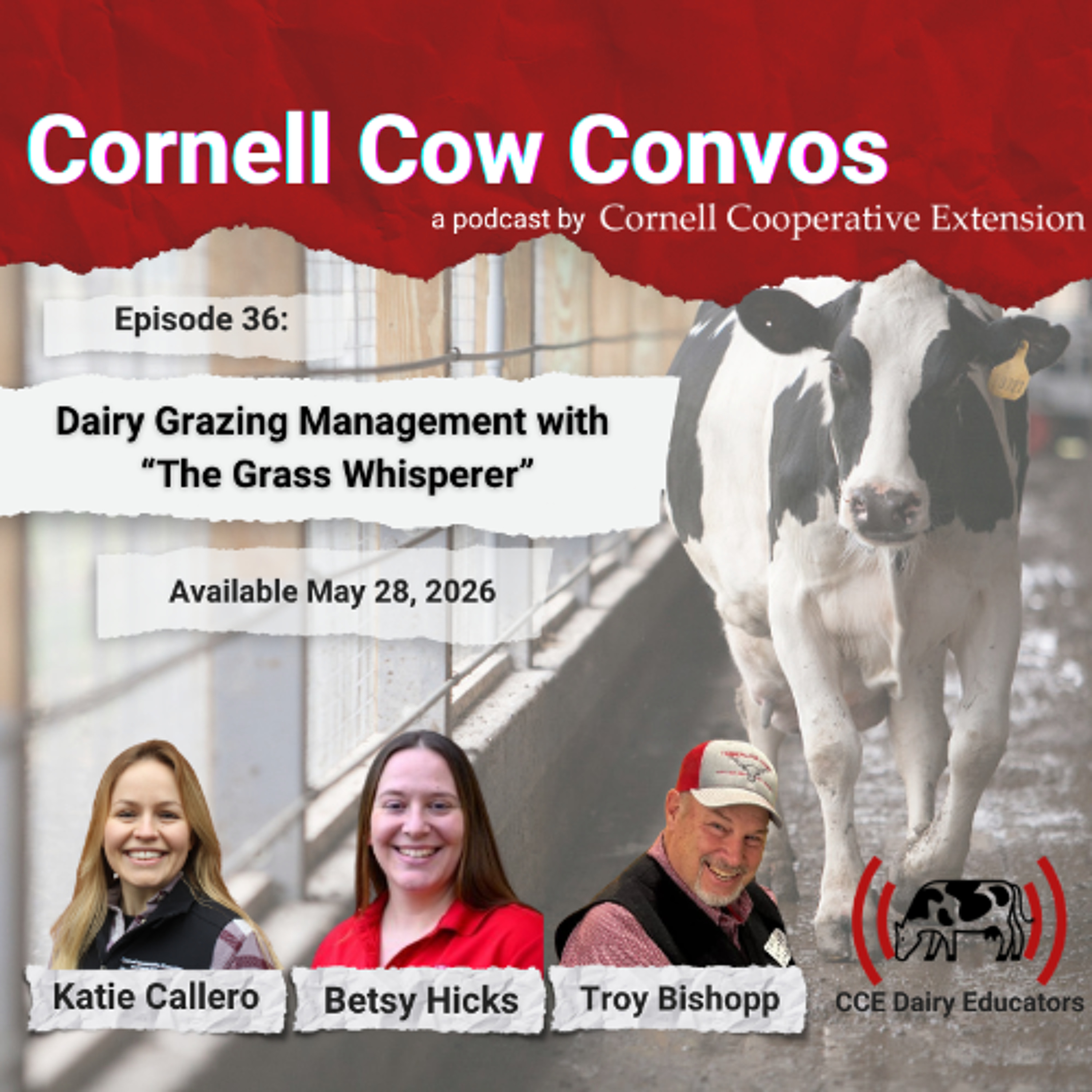 CCE DAIRY EDUCATORS