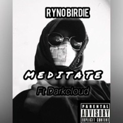 Meditate ft Darkcloud Hoodscientist