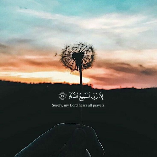 بسم الله نور علي نور 🤲✨ | دعاء 🍃 | محمد البراك