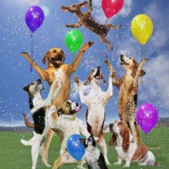 torta fucker w numn9ine