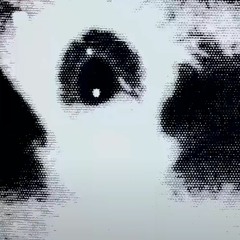 Water As Poison(Apparition)