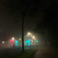 Dommage qu’on n’peut pas sauver TLM