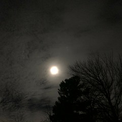 LOFI