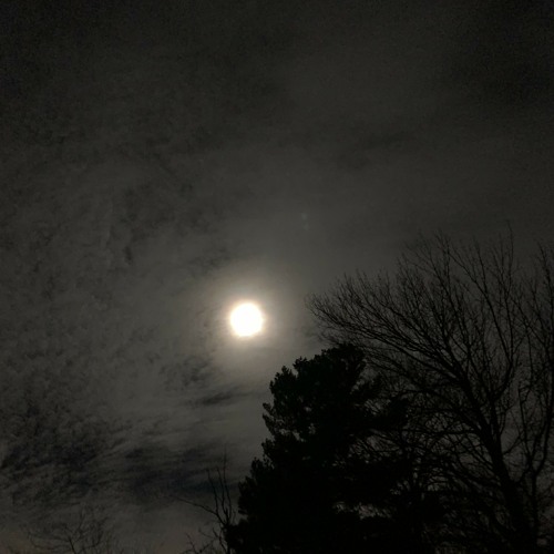 LOFI