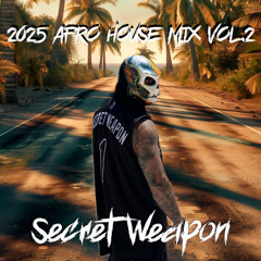 AFRO HOUSE MIX 2025 VOL.2