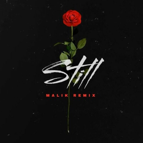 MALIK, JJ - Still