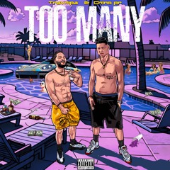 Trvmpa x chinopr - too many  rough_thefridgedmv