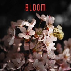 Bloom 604 – Feed The Vultures