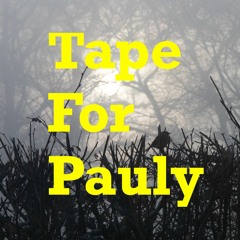 Tape For Pauli - Natalia Data Vinyl Mix