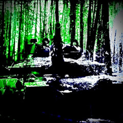 SKWLKR-Darknature Slowed