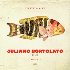 Juliano Bortolato @ Newcomer #041 - Brazil