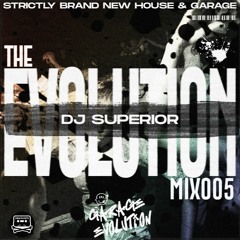 GARAGE EVOLUTION 005 DJ SUPERIOR (PIRATE CUTZ)