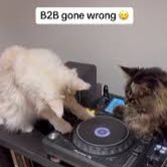 UPWÄRTZ OPENING/MAINTIME (B2B EXILE ab 2h)