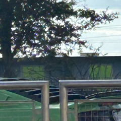 xfile prod trayzam + 1alimr04