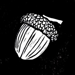 The Acorn