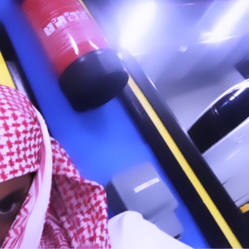 ياقومي قوم جمل واطيح طيحة حصان