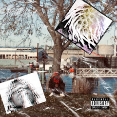 Fred - Unexpected
