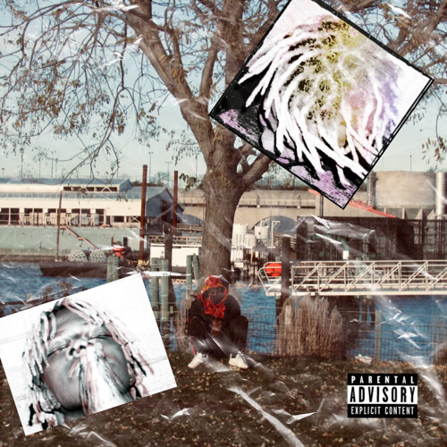 Fred - Unexpected