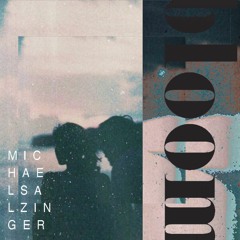 Bloom - The Paper Kites (Michael Salzinger & AlexanderMark Remix)