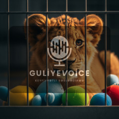 Documentary - Voiceover (Azerbaijani)
