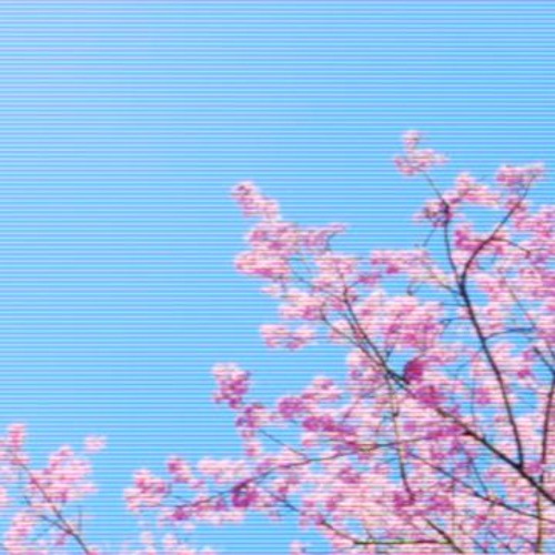 From A Distance