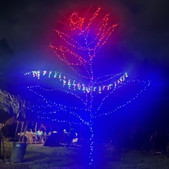 XMAS ON PNI 🎄⛄️ ‘